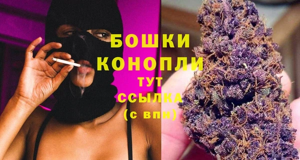 прущие грибы Краснотурьинск