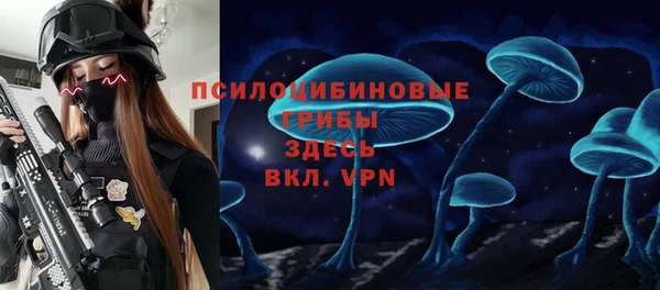 спиды Кодинск