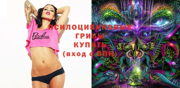 mdpv Козельск