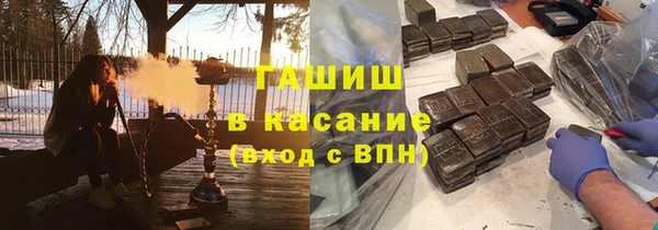 прущие грибы Краснотурьинск