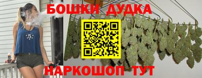 шишки Партизанск