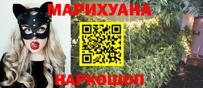 шишки Партизанск