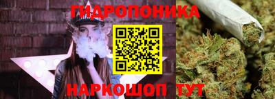 шишки Партизанск