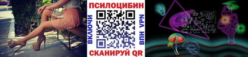 закладка  Чита  Псилоцибиновые грибы MAGIC MUSHROOMS 